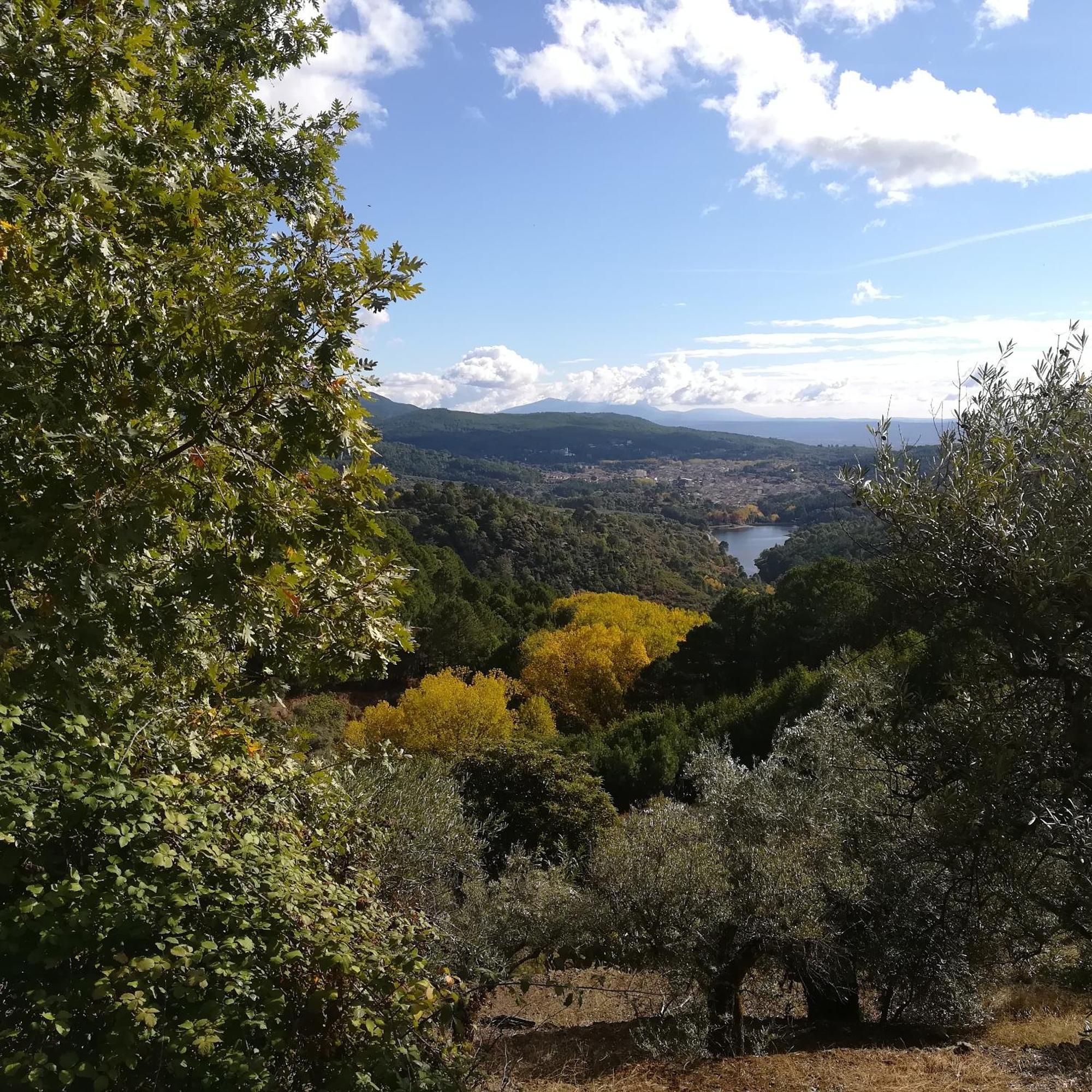 אל ארנל La Albarea By #Cherrygredos מראה חיצוני תמונה