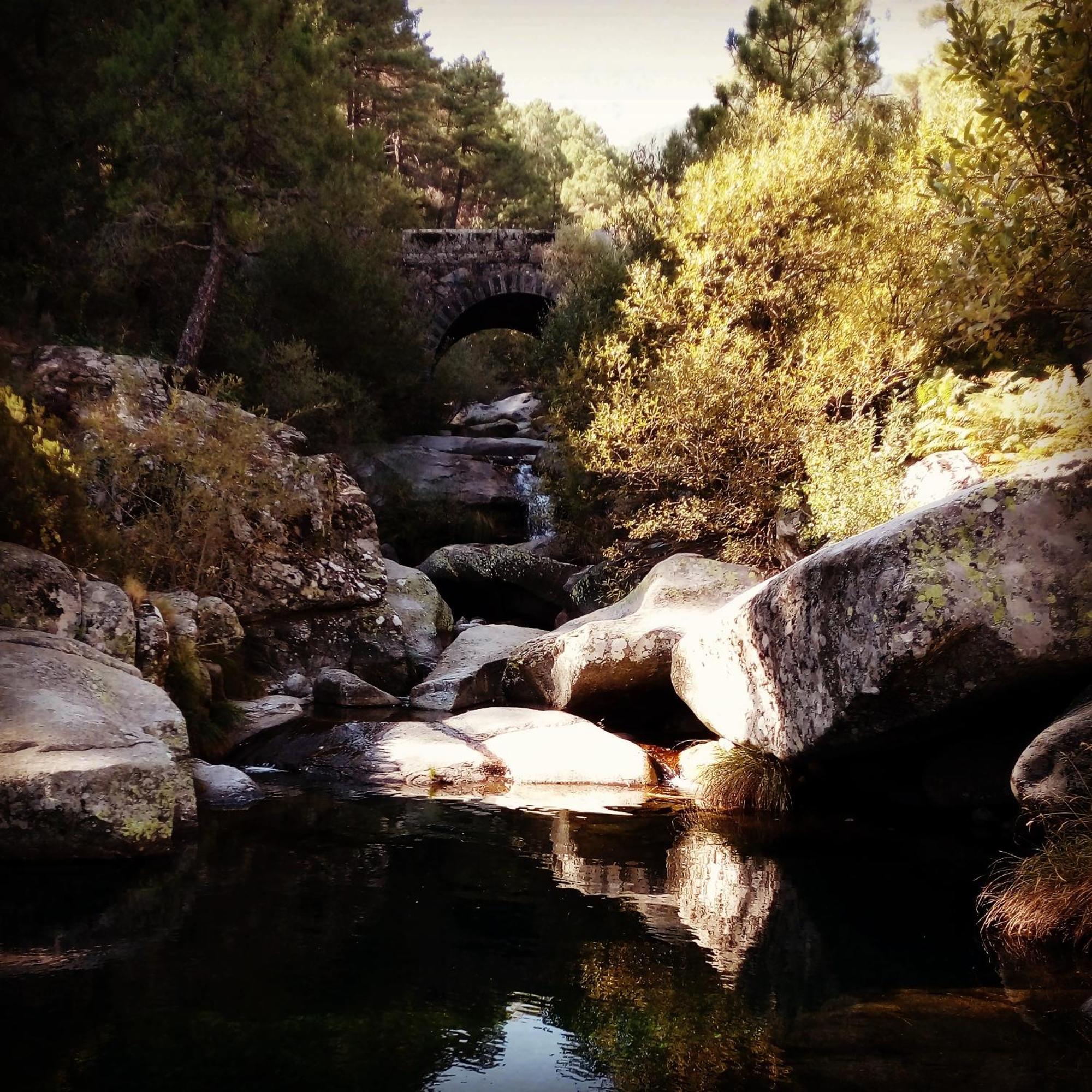 אל ארנל La Albarea By #Cherrygredos מראה חיצוני תמונה